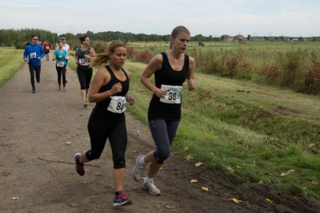 Heidekampparkrun